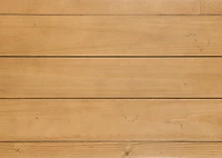 Nori Bookshelf -Arlyn Fawn