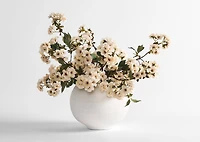 Kya Cherry Blossom Branch Ivory