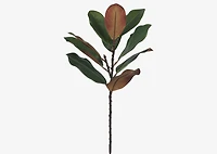 Aster Magnolia Branch Green/Brown