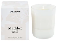 Maddox Candle Amaryllis