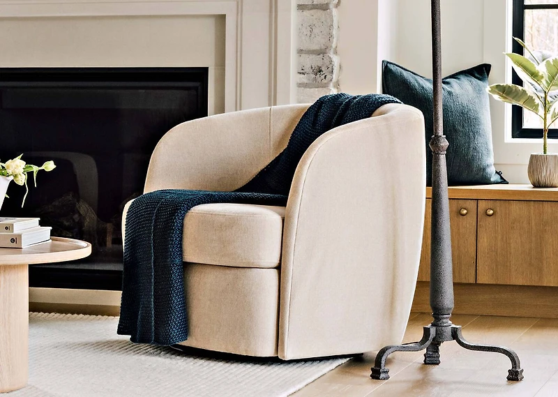 Tineke Ficus Plant Potted