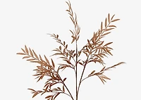 Flynn Wild Leaves Branch Natural