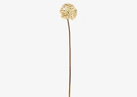 Ruth Allium Stem Ivory