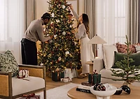 Channel Tree Collar Pewter