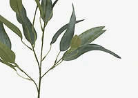 Letty Salix Willow Branch