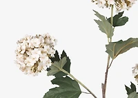 Raylee Snowball Branch White