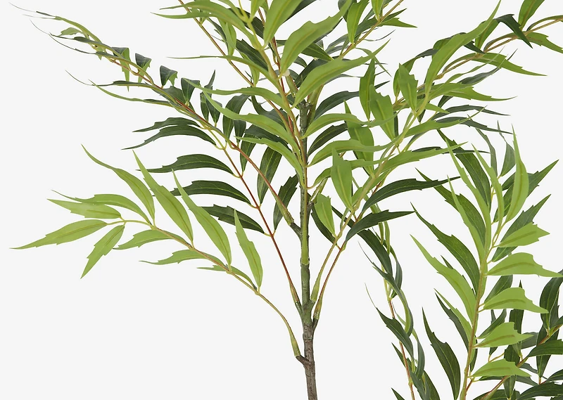 Bryce Bamboo Palm Branch