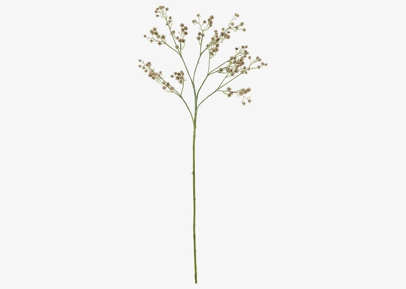 Carissa Blossom Stem Green