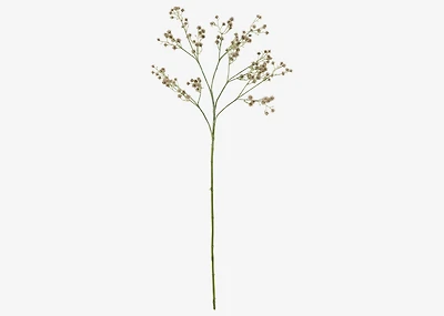Carissa Blossom Stem Green