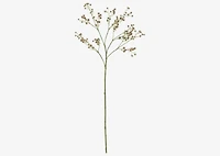 Carissa Blossom Stem Green