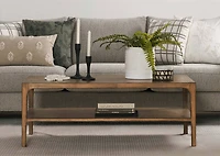 Jylan Long Fern Bunch