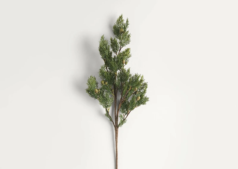 Alice Pine Branch
