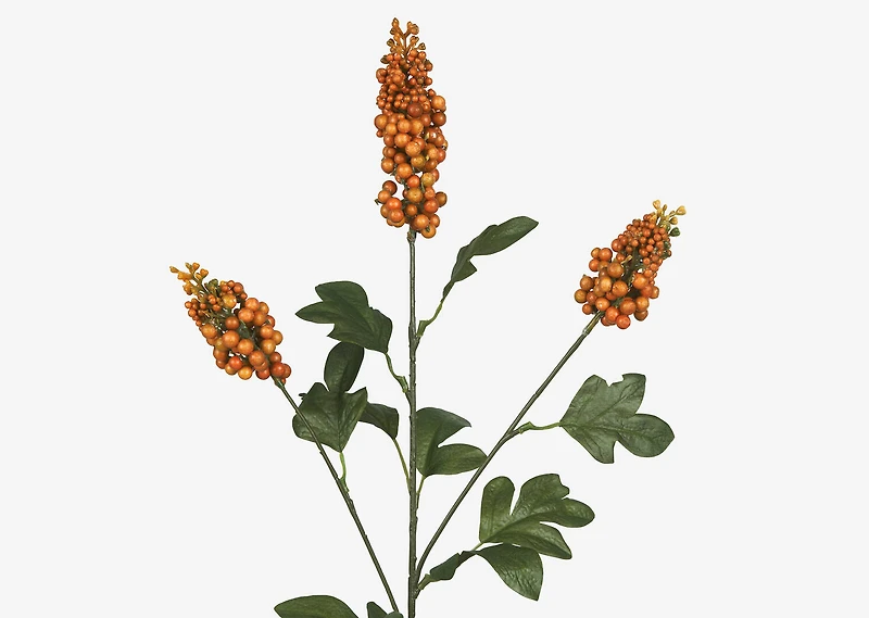 Scarlett Firethorn Stem Orange