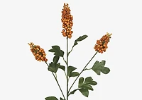 Scarlett Firethorn Stem Orange