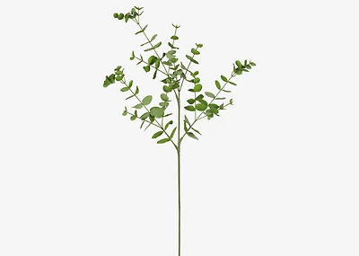 Cale Mini Eucalyptus Spray