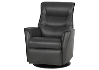 Paramount Leather Recliner -Sol Slate