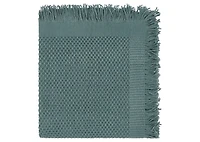 Holmes Throw Pond