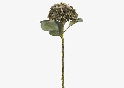 Adell Hydrangea Antique