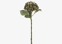 Adell Hydrangea Antique