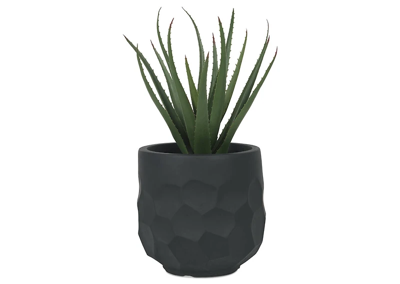 Ollie Planter Small Black