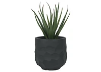 Ollie Planter Small Black