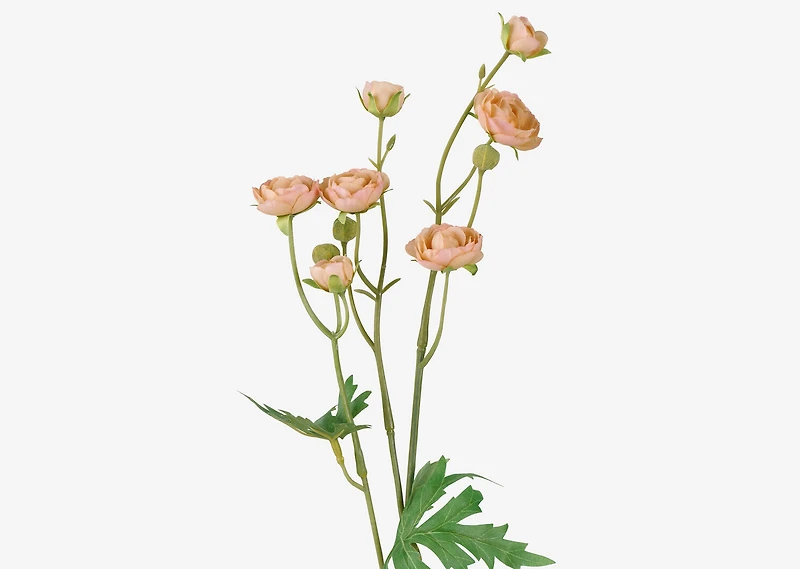 Tove Mini Ranunculus Light Pink