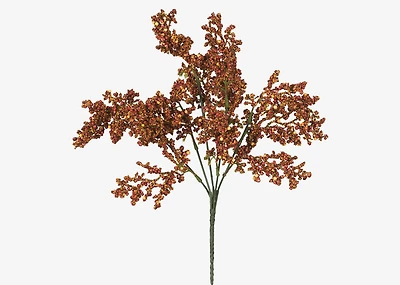 Esther Seeded Flower Stem Rust