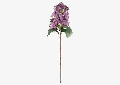 Beth Cone Hydrangea Stem Purple