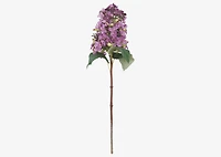 Beth Cone Hydrangea Stem Purple