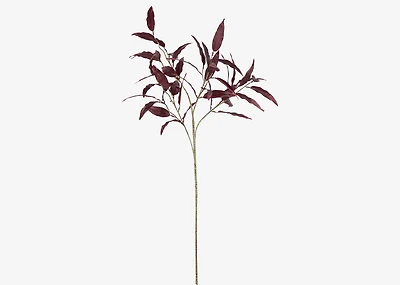 Jody Cordyline Branch Bordeaux