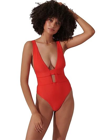 Lucerne Plunge Swimsuit