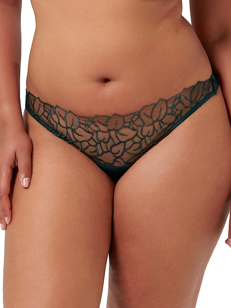 Laurel Brief Panty