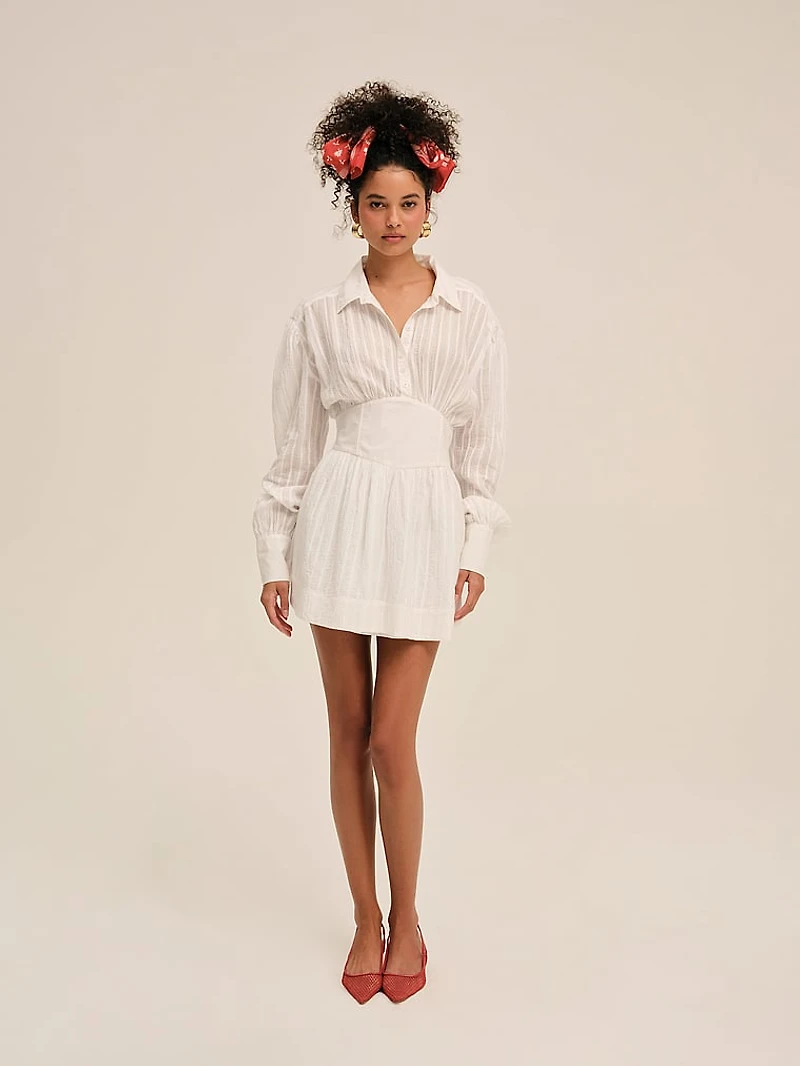 Charlie Mini Dress