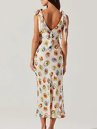 Allexina Print Dress