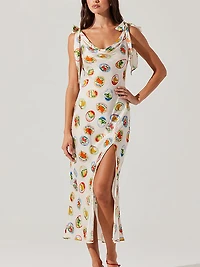 Allexina Print Dress