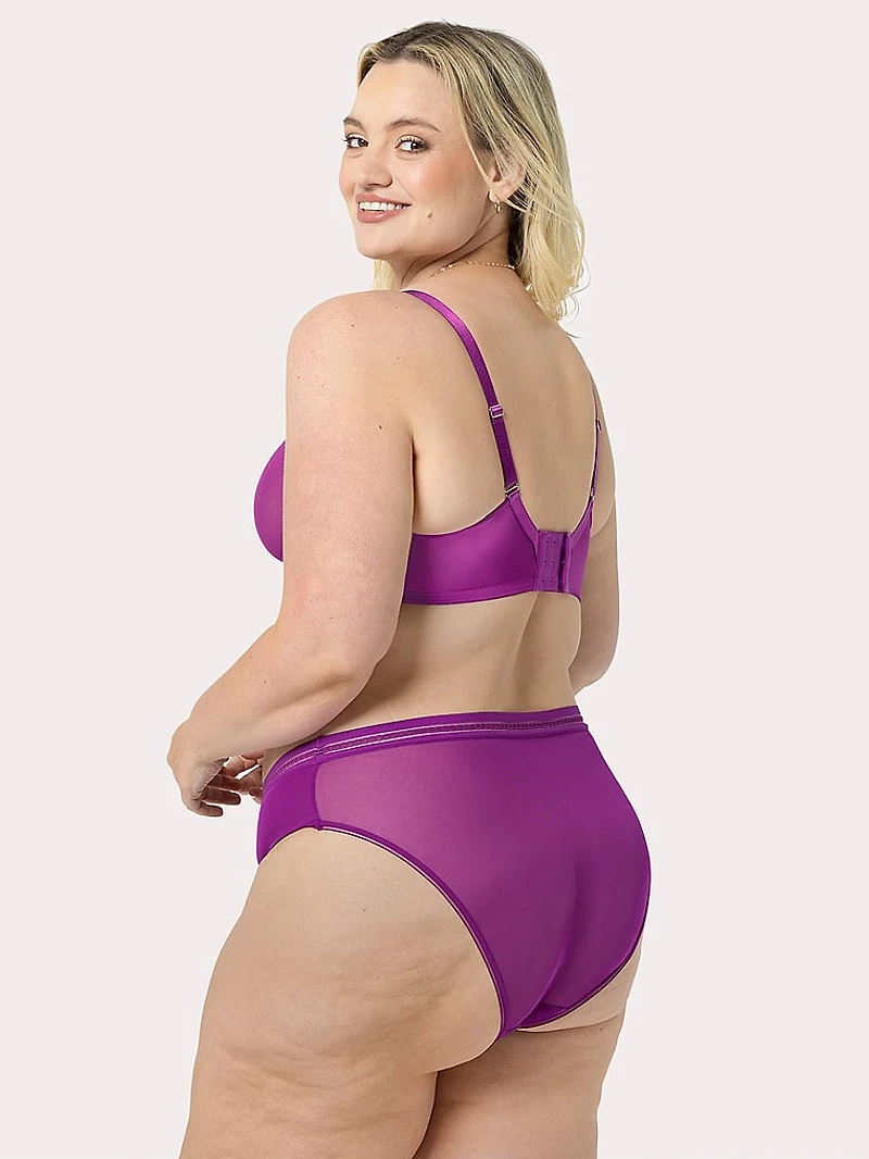 Sheer Mesh High Leg Brief Panty