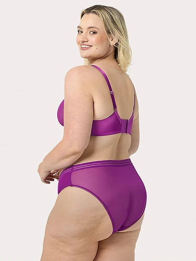 Sheer Mesh High Leg Brief Panty