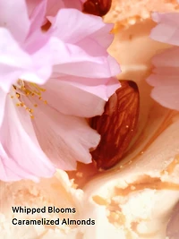 Brulee Fragrance Mist