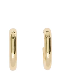 Oval Hoop Earrings