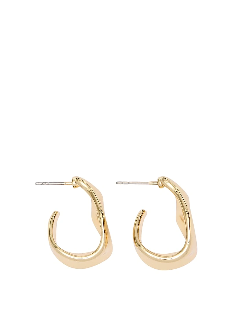 Sculptural Hoop Earrings