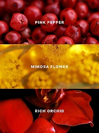 Very Sexy Scarlet Solid Perfume