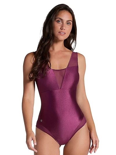 Sheer Plunge One-Piece Swimsuit