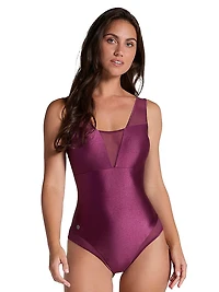 Sheer Plunge One-Piece Swimsuit