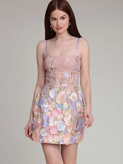 Floral Appliqué Embroidered Mini Dress