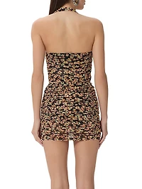 Arayna Mesh Halter Top