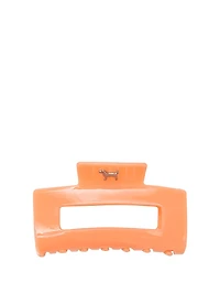 Dolphin Hair Claw Clip