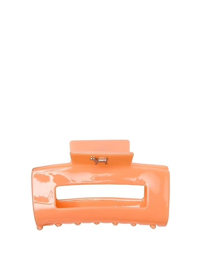 Dolphin Hair Claw Clip