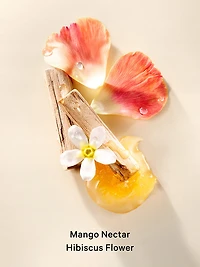 The Archives Collection Fragrance Lotion