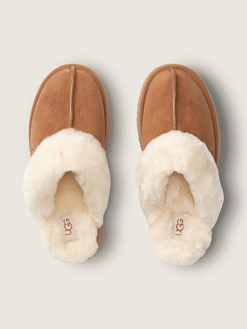 Disquette Slippers