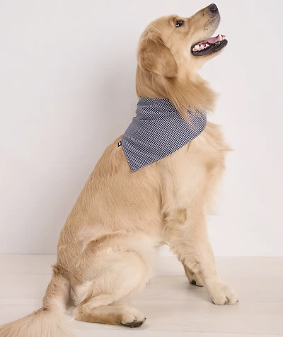 Micro Whale Pet Bandana